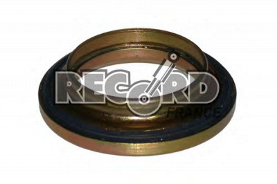 RECORD FRANCE 924529 -  